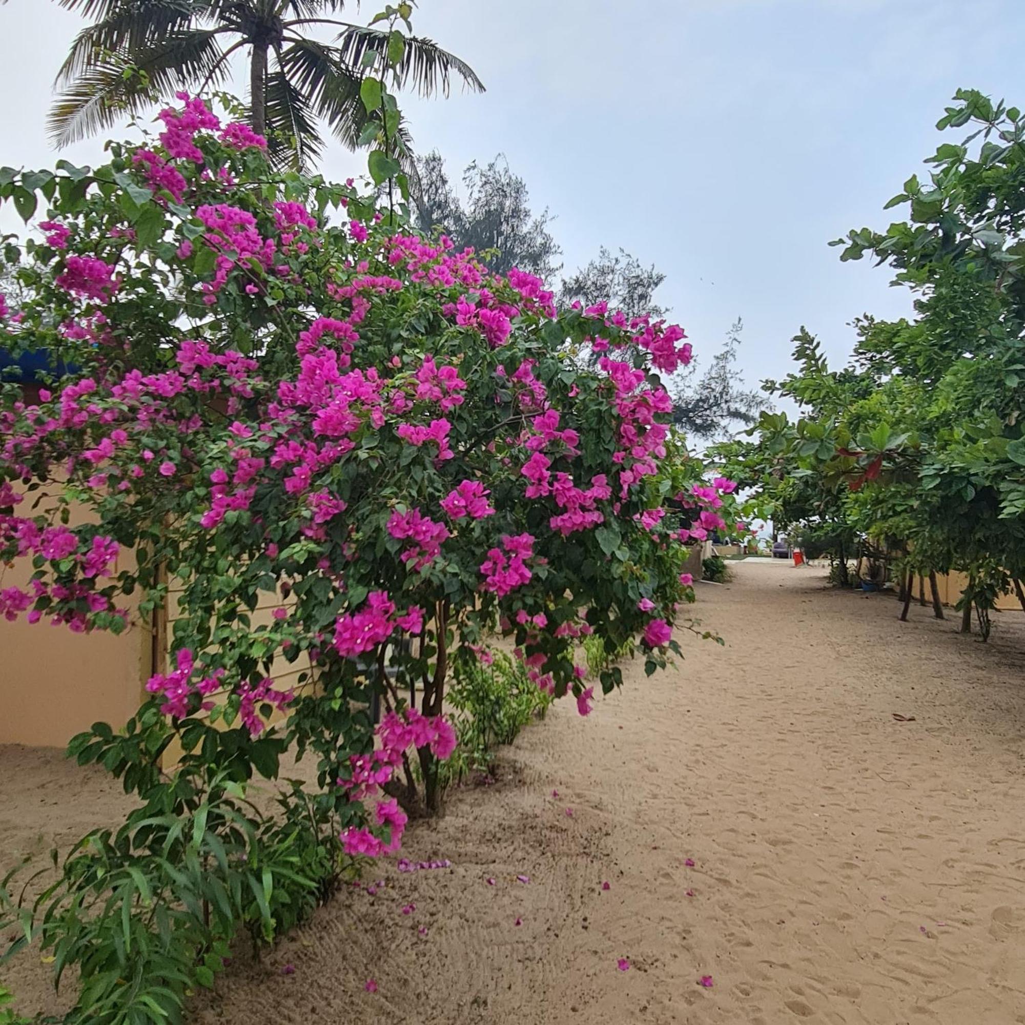 Love Temple Beach Resort Arambol Exterior photo